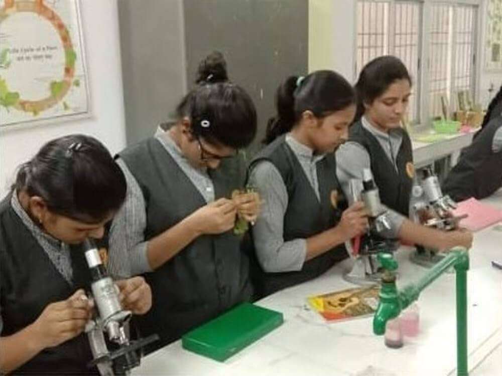 Bachelor of Science (B.Sc)