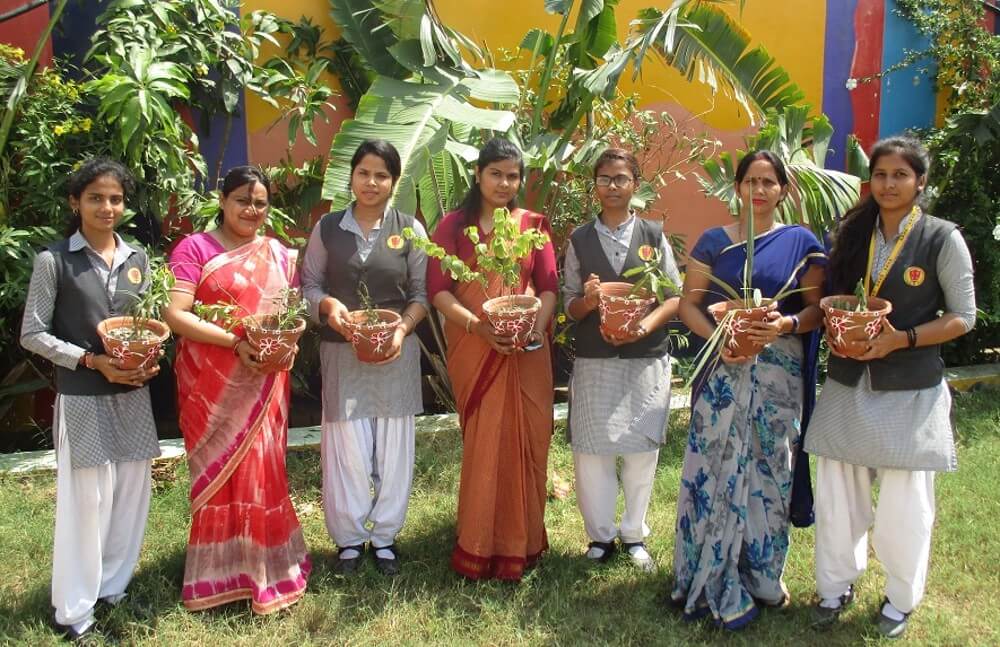 Tree Plantation Program